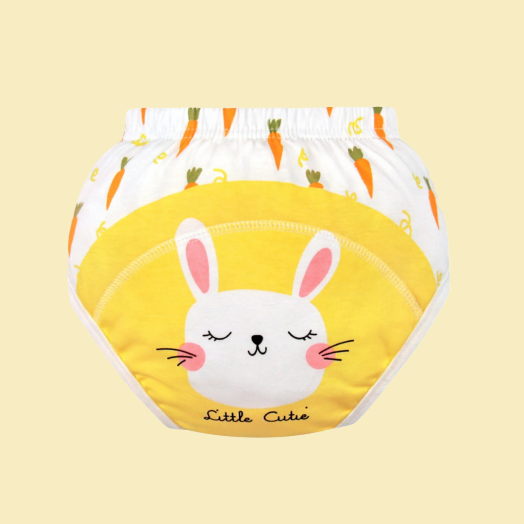 DryMini Zindelijkheidstrainingbroekjes